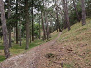 Casa de vacaciones Blåvand  14