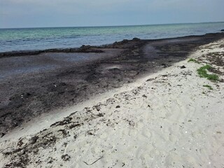 Maison de vacances Kramnitse  26