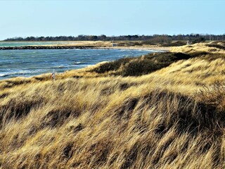 Vakantiehuis Kramnitse  27