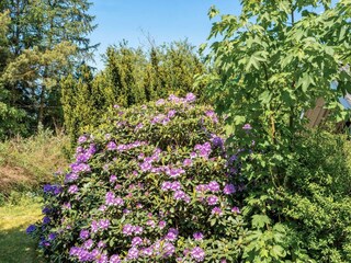 Vakantiehuis Truust Buitenaudio-opname 9
