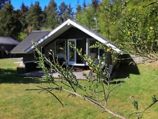 Holiday house Lyngså  17