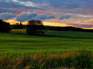 Vakantiehuis Aså  8