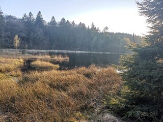 Casa per le vacanze Aså  21