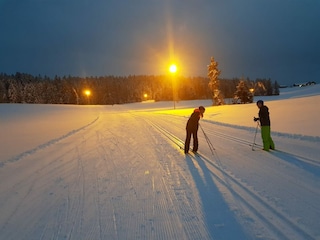 Langlauf bei Flutlicht