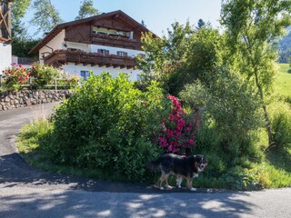 Appartamento per vacanze Völs am Schlern Registrazione all'aperto 6