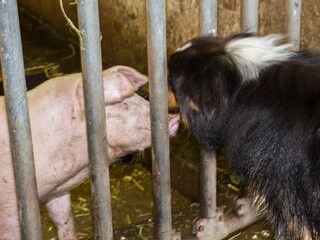 Appartamento per vacanze Völs am Schlern Registrazione all'aperto 9