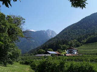 Appartamento per vacanze Meran Registrazione all'aperto 8