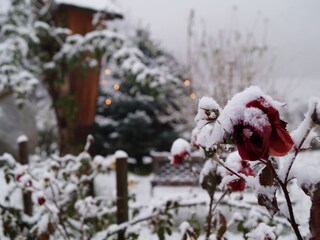 Appartamento per vacanze Meran Registrazione all'aperto 10