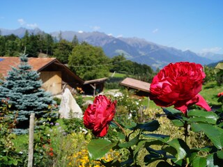 Appartamento per vacanze Meran Registrazione all'aperto 5