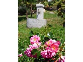 Appartamento per vacanze Meran Registrazione all'aperto 6