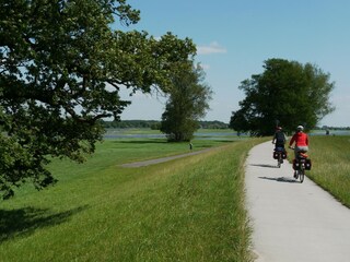 Radtouren am Elberadweg