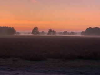 Herbststimmung in der Nemitzer Heide