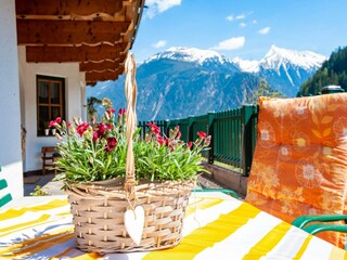 Appartement Mayrhofen  36