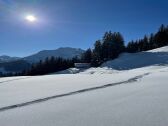 Apartment Mayrhofen Environment 1