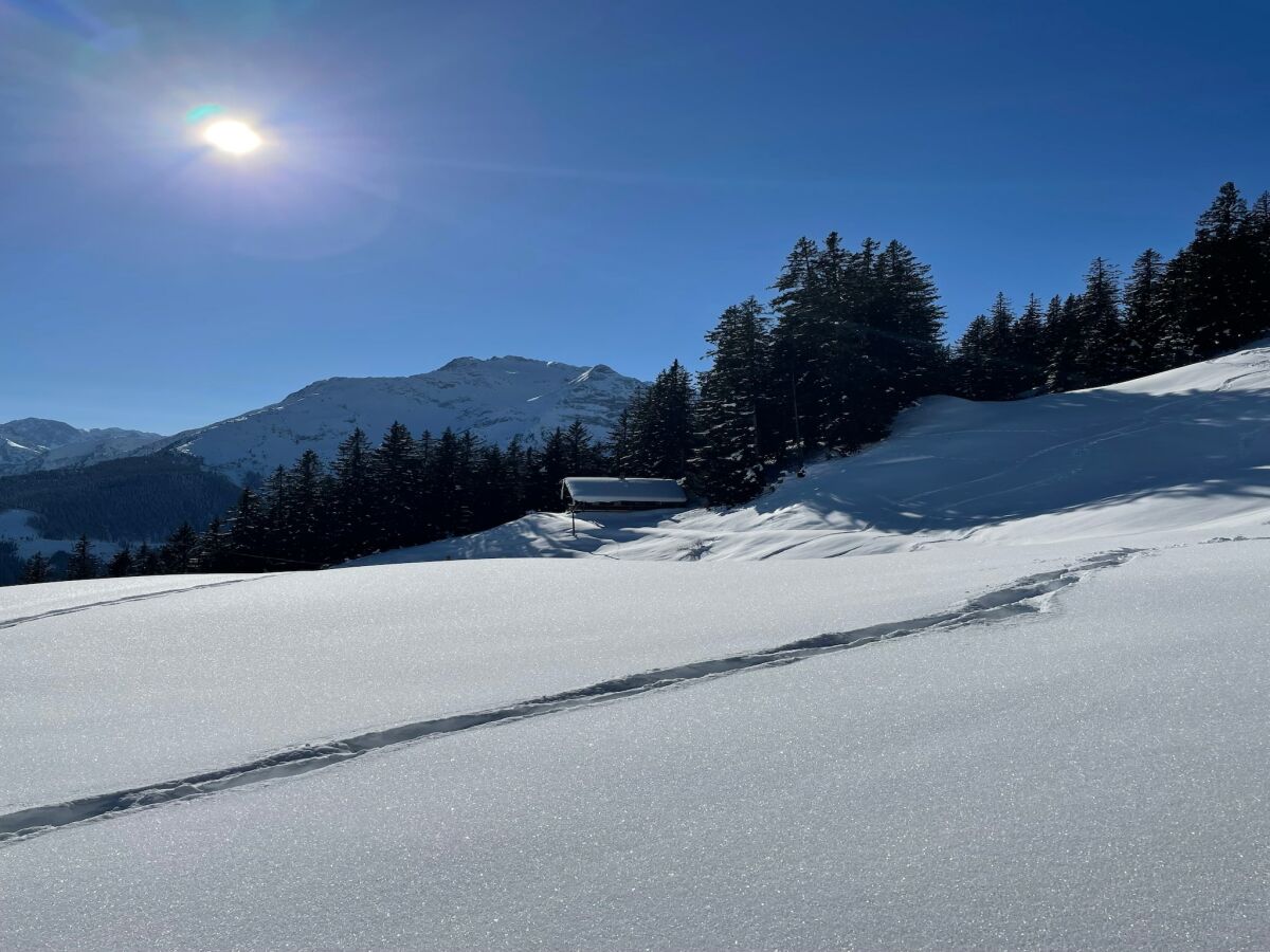 Apartment Mayrhofen Environment 1