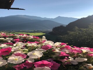 Apartamento Mayrhofen Entorno 27