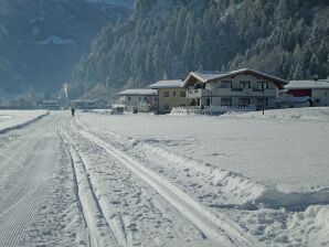 Appartement bij het skigebied in Mayrhofen - Schwendau - image1