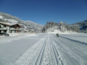 Apartment Wohnung nahe dem Skigebiet in Mayrhofen - Schwendau - image1