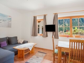 Apartamento Mayrhofen Características 12