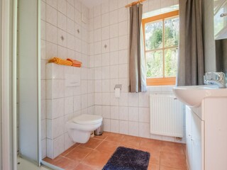 Appartement Mayrhofen Équipement 18