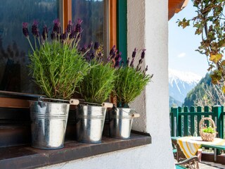 Appartement Mayrhofen  30