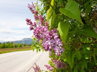 Ferienhaus Hopfgarten im Brixental  35