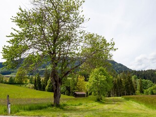 Vakantiehuis Hopfgarten im Brixental Omgeving 31