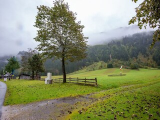 Apartamento Bichlbach Entorno 28