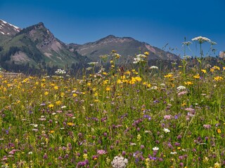 Apartamento Bichlbach Entorno 23