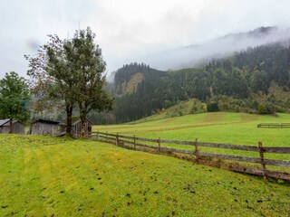 Appartement Bichlbach Environnement 30