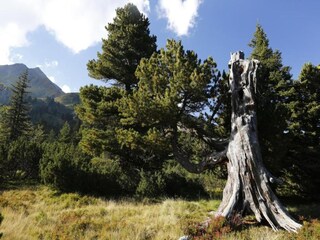 Chalet Hohentauern Ambiente 35