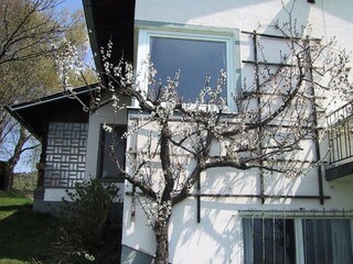 Casa de vacaciones Ludmannsdorf  4