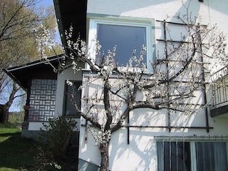 Holiday house Ludmannsdorf  31