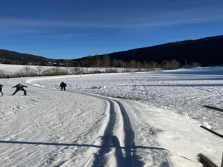 Maison de vacances Seeboden Environnement 32