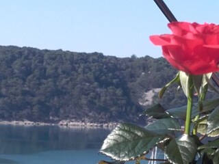 Appartamento Kampor Ambiente 38