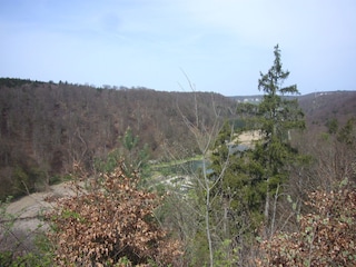 Forellenweiher im Tal