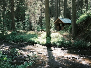 Wandern im Schwarzwald