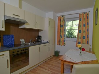 Appartamento per vacanze Hippach Caratteristiche 5