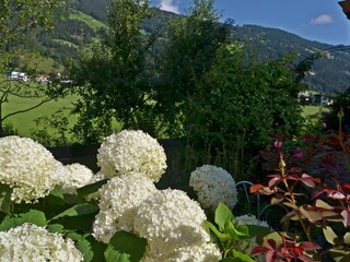 Appartamento per vacanze Hippach Ambiente 19