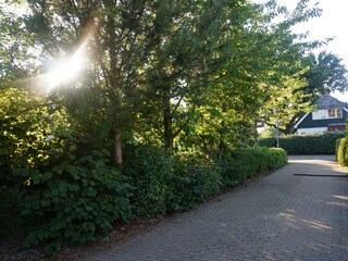 Holiday house Burgh-Haamstede Outdoor Recording 7