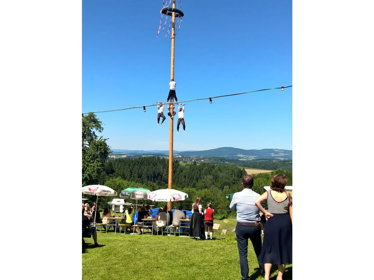 Maibaumkraxeln für Mutige