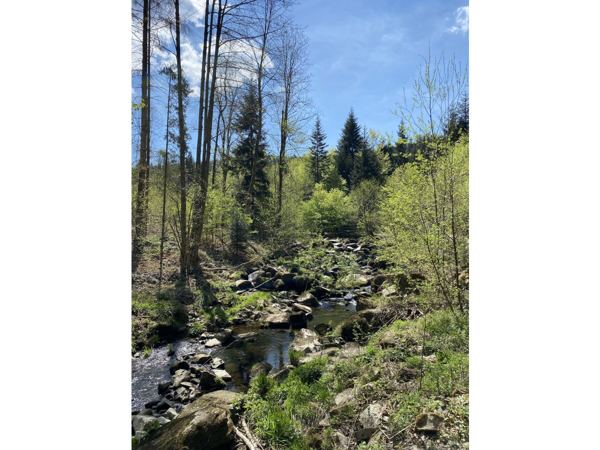 Wandern in unberührter Natur