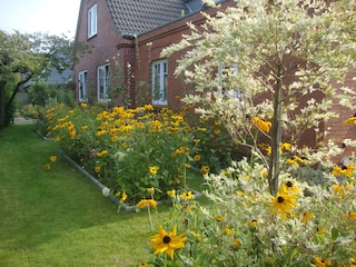 Holiday apartment Wyk auf Föhr Environment 7