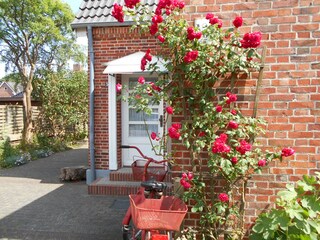 Ferienwohnung Wyk auf Föhr Außenaufnahme 5