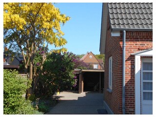 Holiday apartment Wyk auf Föhr Outdoor Recording 5