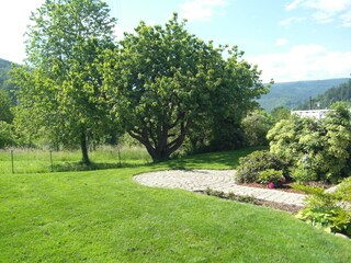 Holiday apartment Gernsbach Outdoor Recording 4