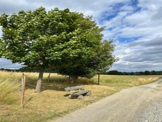 Appartement Kamenz Omgeving 19