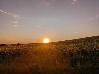 Apartment Kamenz Umgebung 40