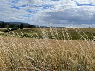 Appartement Kamenz Environnement 65