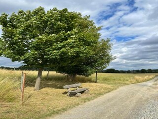 Appartement Kamenz Omgeving 45